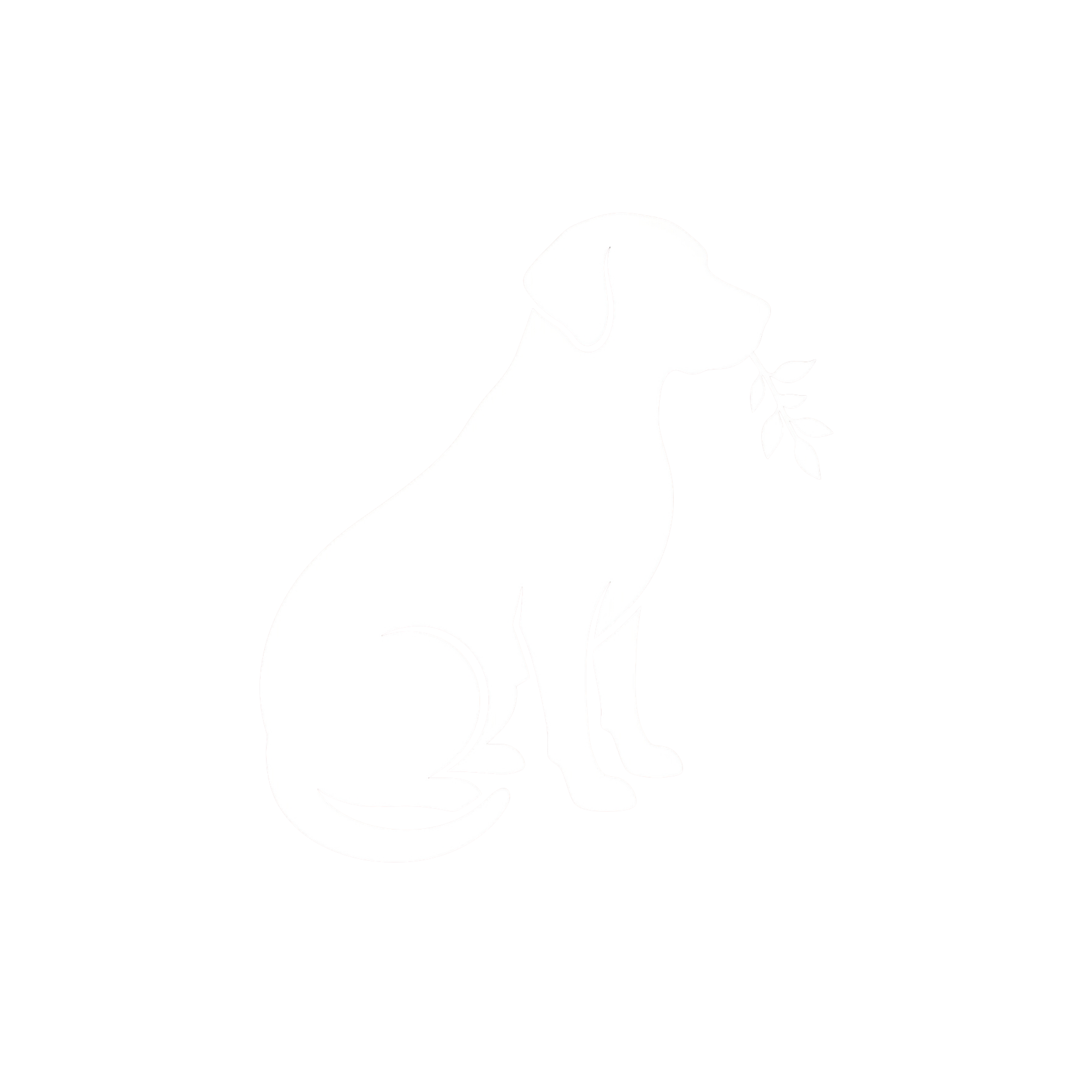 Buddy DeDog Security Consultants